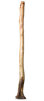 Heartland Didgeridoo (HD348)